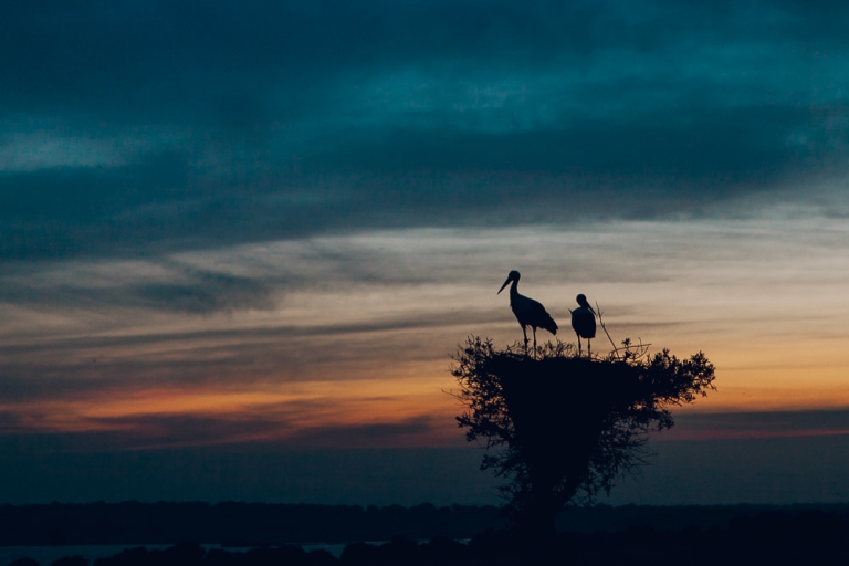 Preboda de Inma y Daniel